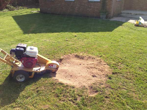 stump grinding 4