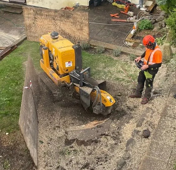 stump grinding how much does it cost to remove stump